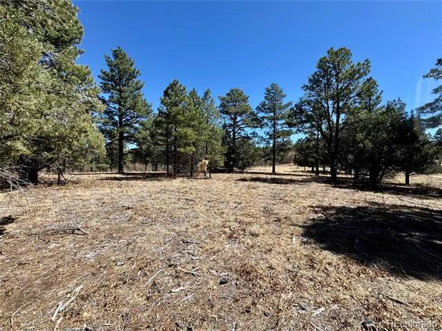 34999 Timber Park Drive Trinidad, CO 81082