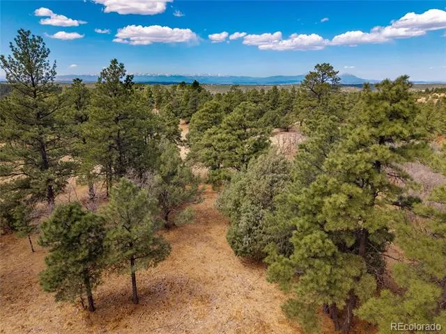 34999 Timber Park Drive Trinidad, CO 81082