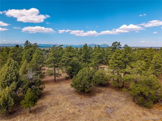 34999 Timber Park Drive Trinidad, CO 81082