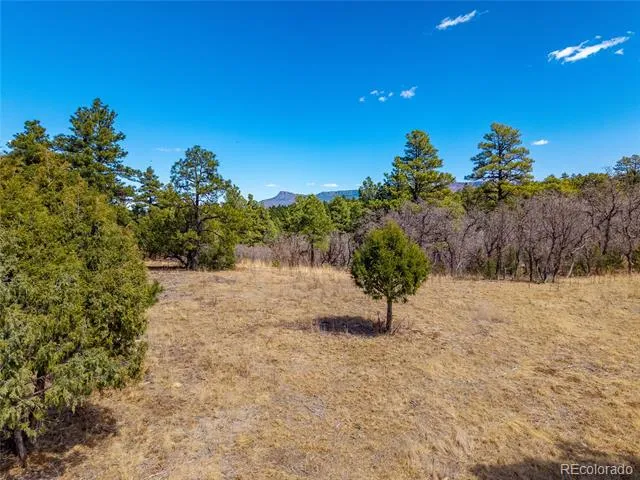 34999 Timber Park Drive Trinidad, CO 81082