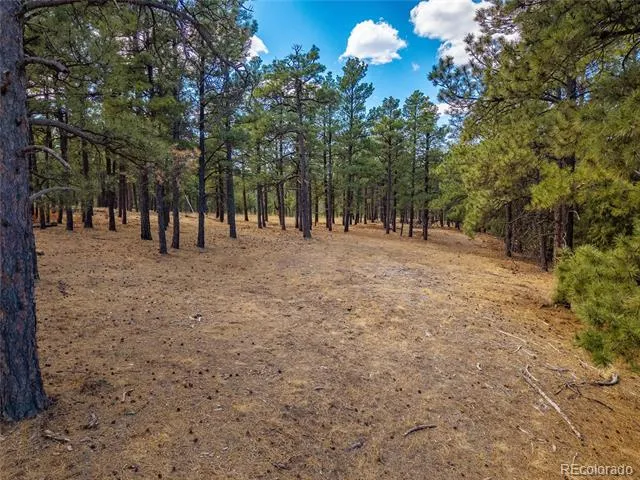 34999 Timber Park Drive Trinidad, CO 81082