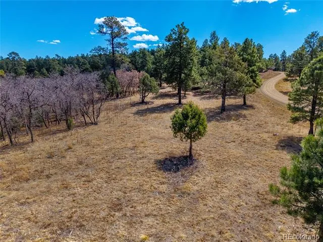 34999 Timber Park Drive Trinidad, CO 81082