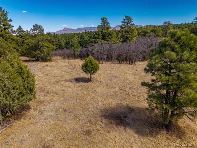 34999 Timber Park Drive Trinidad, CO 81082