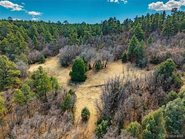 34999 Timber Park Drive Trinidad, CO 81082
