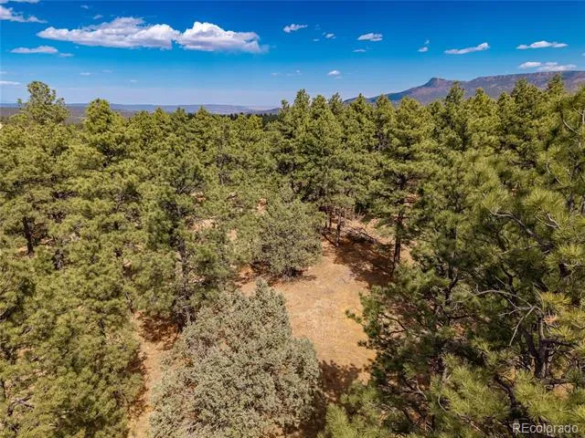34999 Timber Park Drive Trinidad, CO 81082