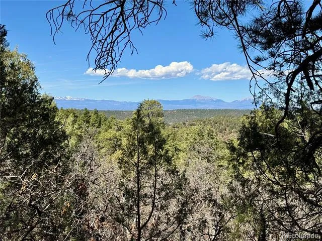 34999 Timber Park Drive Trinidad, CO 81082