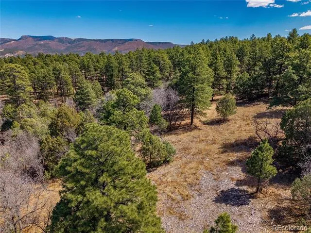 34999 Timber Park Drive Trinidad, CO 81082