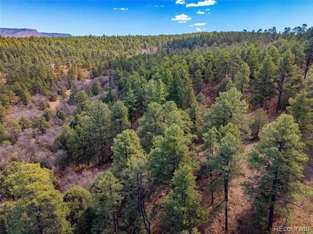 34999 Timber Park Drive Trinidad, CO 81082