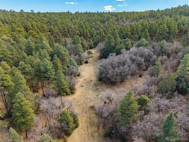 34999 Timber Park Drive Trinidad, CO 81082