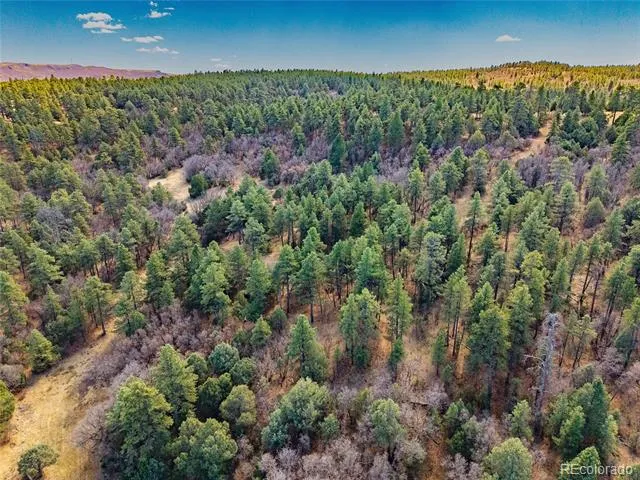 34999 Timber Park Drive Trinidad, CO 81082