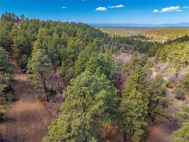 34999 Timber Park Drive Trinidad, CO 81082