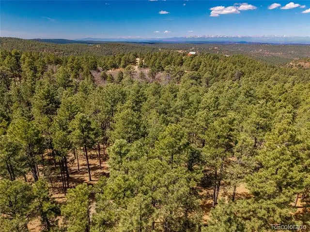 34999 Timber Park Drive Trinidad, CO 81082