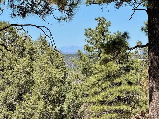 34999 Timber Park Drive Trinidad, CO 81082
