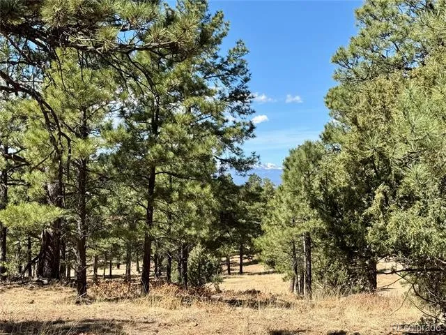 34999 Timber Park Drive Trinidad, CO 81082
