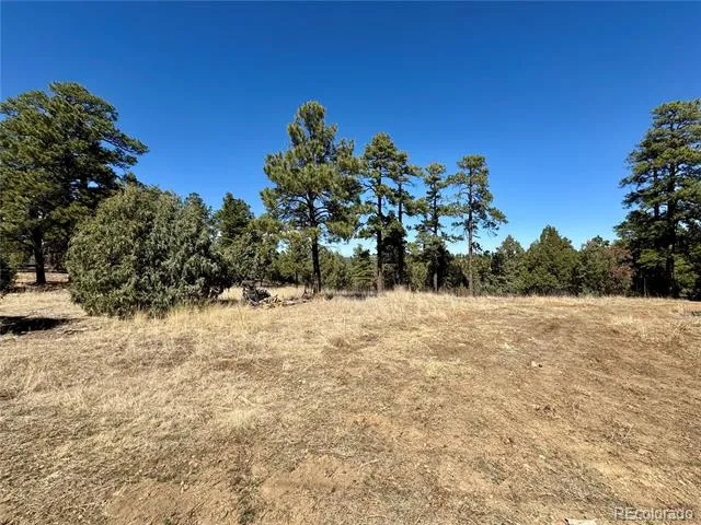 34999 Timber Park Drive Trinidad, CO 81082