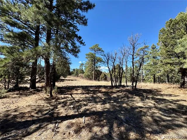 34999 Timber Park Drive Trinidad, CO 81082