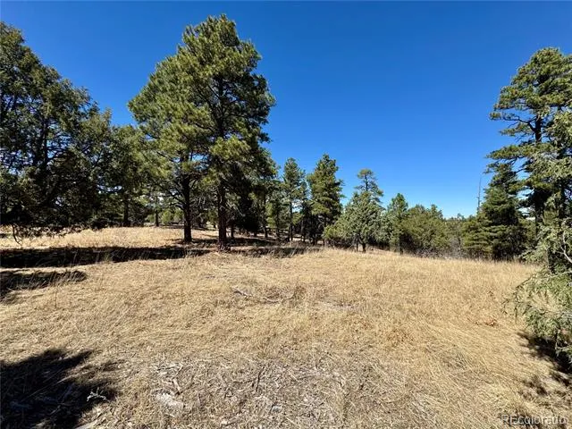 34999 Timber Park Drive Trinidad, CO 81082