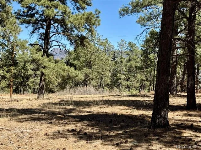 34999 Timber Park Drive Trinidad, CO 81082