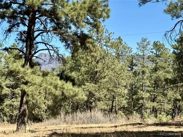 34999 Timber Park Drive Trinidad, CO 81082