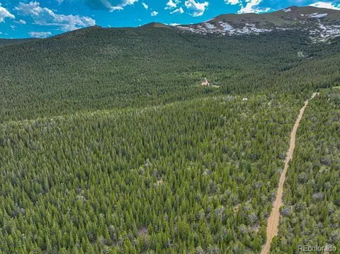 123 Mosquito Creek Road