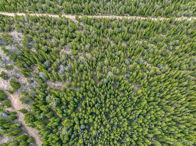 123 Mosquito Creek Road Black Hawk, CO 80422