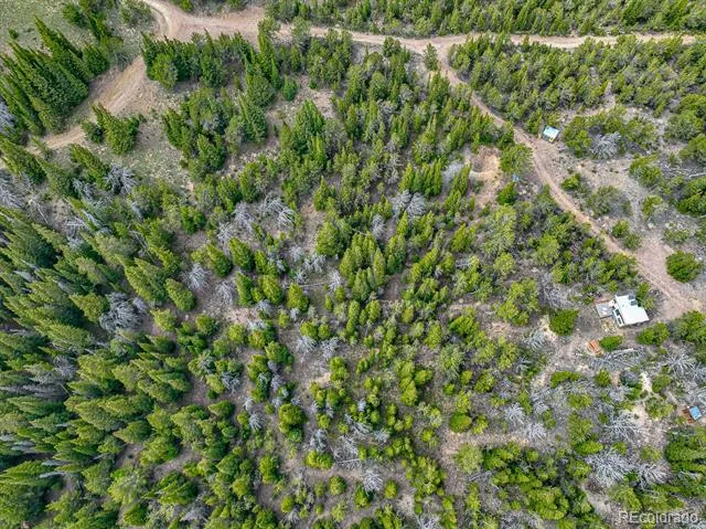 123 Mosquito Creek Road Black Hawk, CO 80422