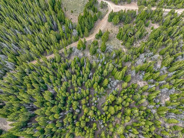 123 Mosquito Creek Road Black Hawk, CO 80422