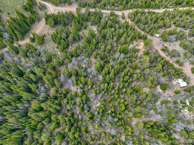 123 Mosquito Creek Road Black Hawk, CO 80422