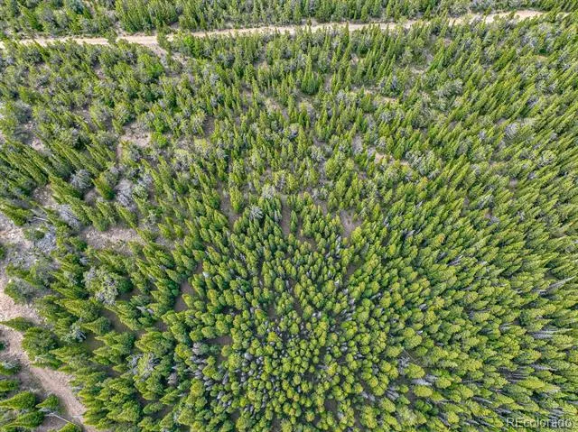123 Mosquito Creek Road Black Hawk, CO 80422