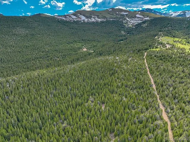 123 Mosquito Creek Road Black Hawk, CO 80422