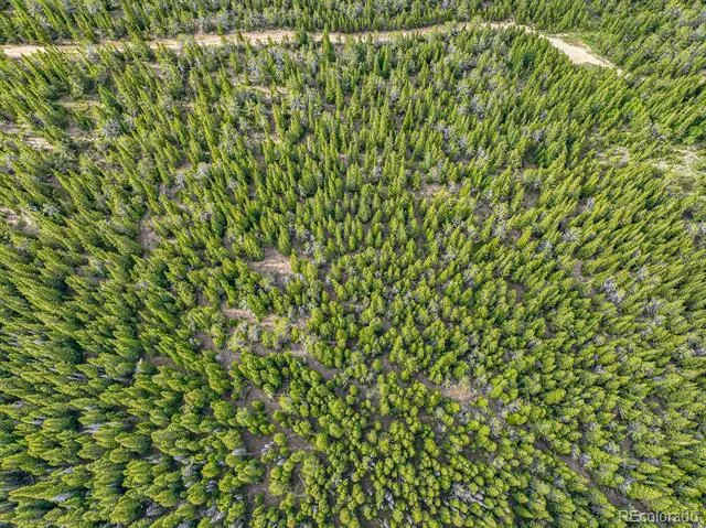 123 Mosquito Creek Road Black Hawk, CO 80422