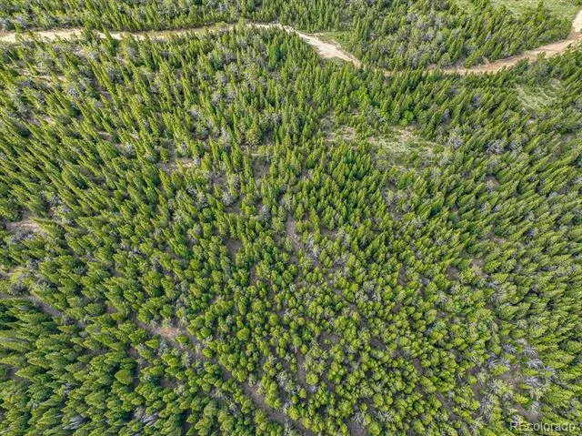 123 Mosquito Creek Road Black Hawk, CO 80422