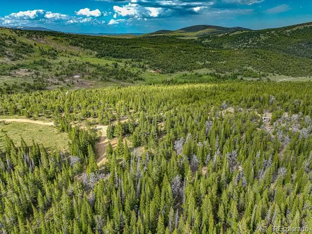 123 Mosquito Creek Road Black Hawk, CO 80422