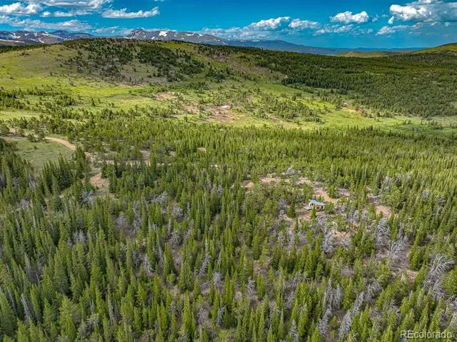 123 Mosquito Creek Road Black Hawk, CO 80422