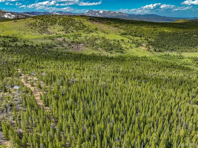 123 Mosquito Creek Road Black Hawk, CO 80422