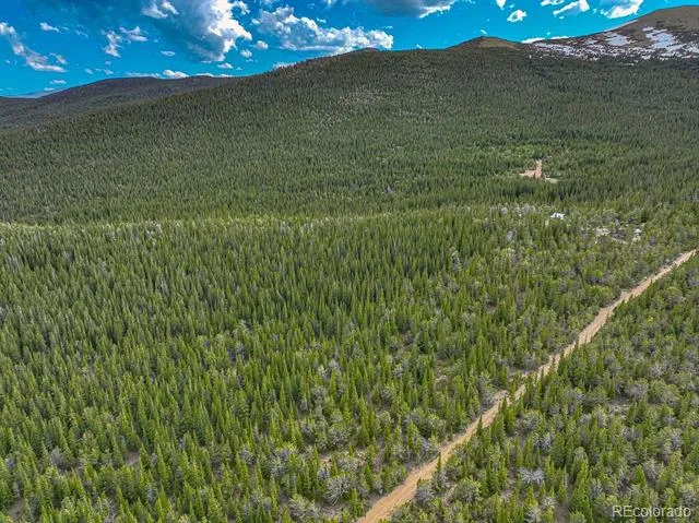 123 Mosquito Creek Road Black Hawk, CO 80422