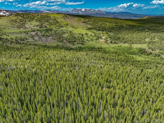 123 Mosquito Creek Road Black Hawk, CO 80422