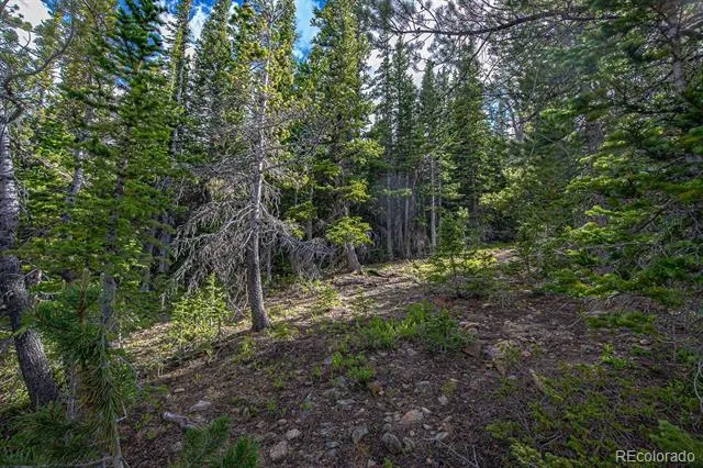 123 Mosquito Creek Road Black Hawk, CO 80422