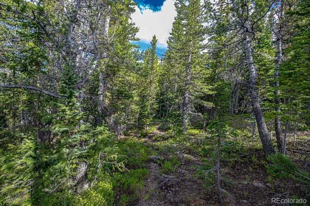 123 Mosquito Creek Road Black Hawk, CO 80422