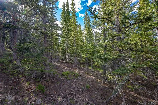 123 Mosquito Creek Road Black Hawk, CO 80422