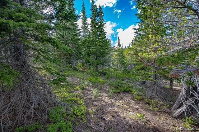 123 Mosquito Creek Road Black Hawk, CO 80422