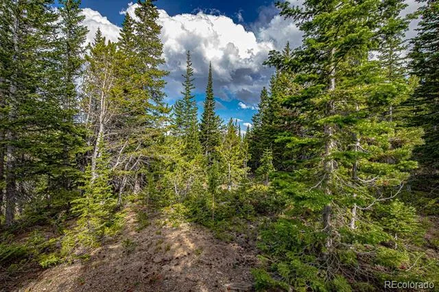 123 Mosquito Creek Road Black Hawk, CO 80422