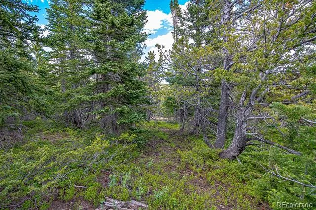 123 Mosquito Creek Road Black Hawk, CO 80422