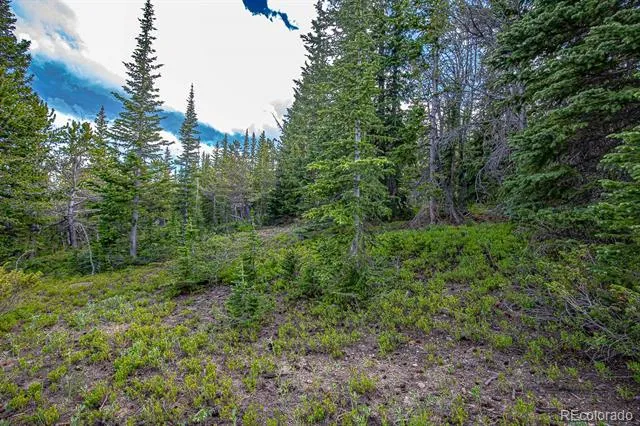 123 Mosquito Creek Road Black Hawk, CO 80422