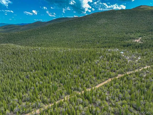 123 Mosquito Creek Road Black Hawk, CO 80422
