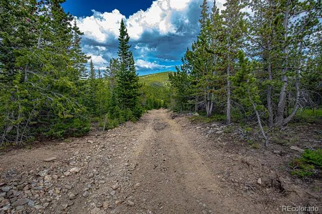 123 Mosquito Creek Road Black Hawk, CO 80422