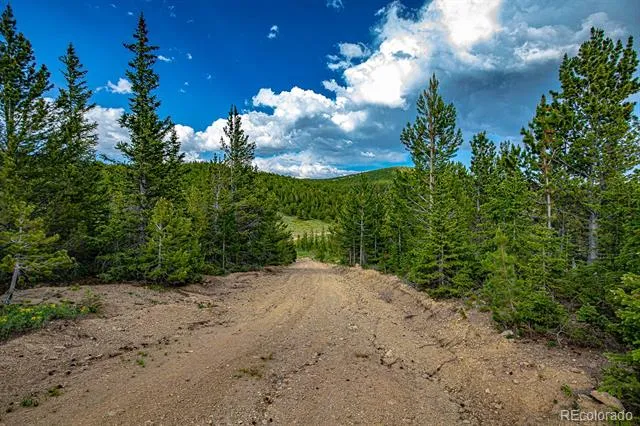 123 Mosquito Creek Road Black Hawk, CO 80422