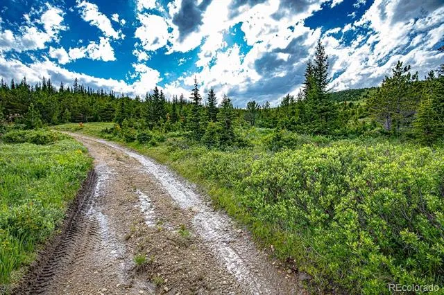 123 Mosquito Creek Road Black Hawk, CO 80422