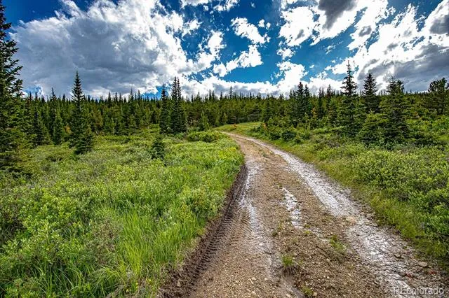 123 Mosquito Creek Road Black Hawk, CO 80422
