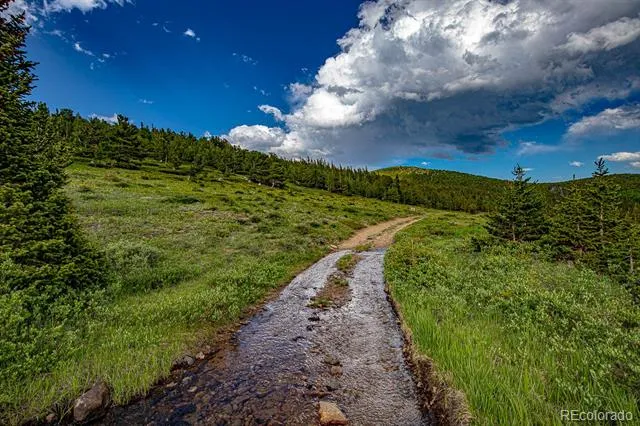 123 Mosquito Creek Road Black Hawk, CO 80422